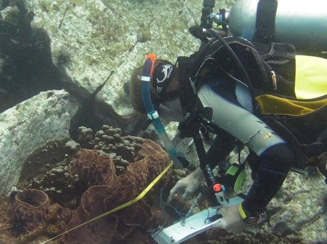 Marine Research in Cambodia