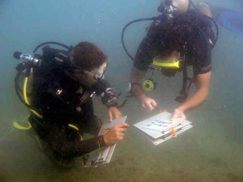 Learning Marine Research