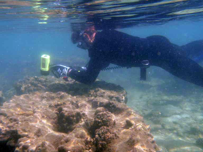 Underwater Photography with Marine Conservation Cambodia