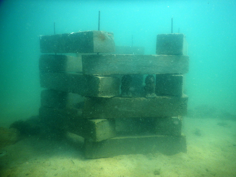 Anti Trawling Device and Artificial Oyster Reef