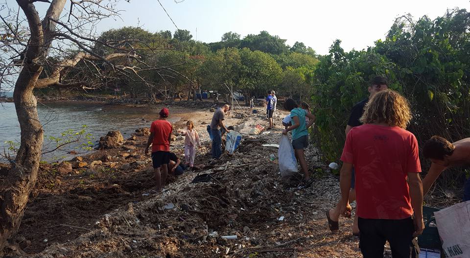 Beach clean 