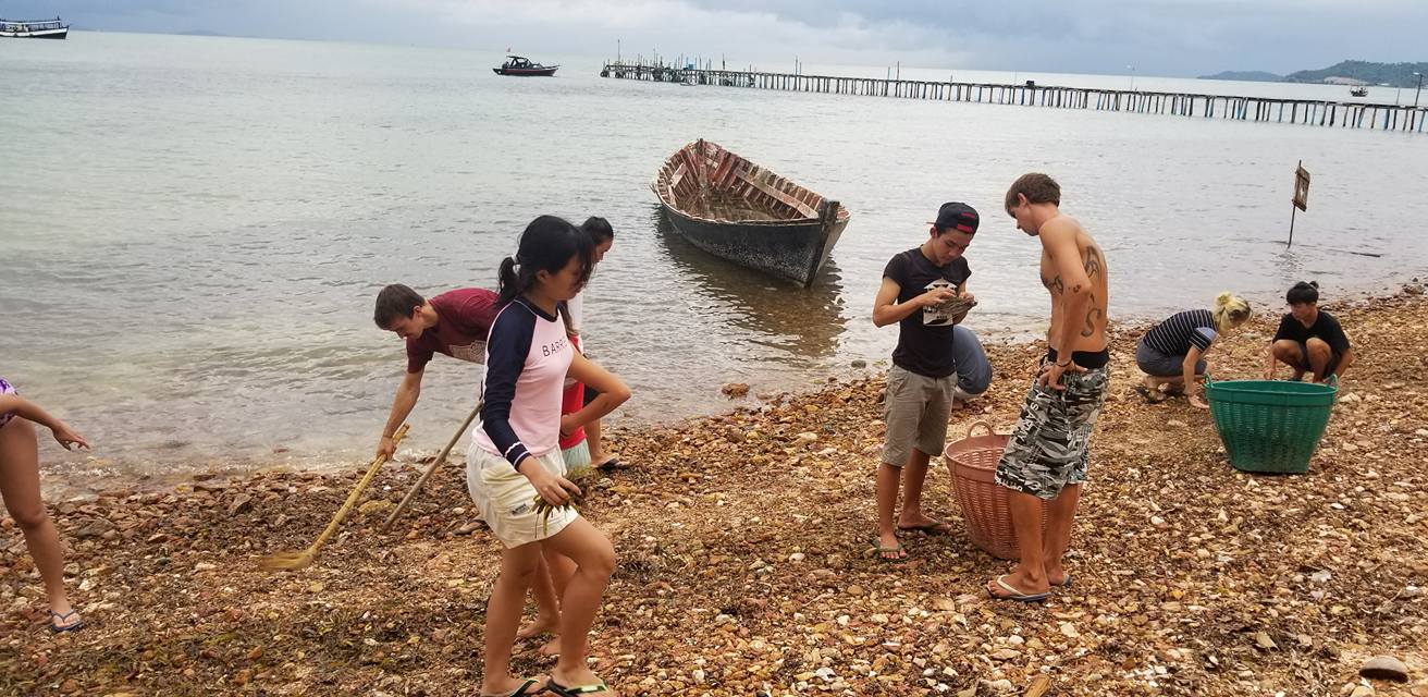 beach clean