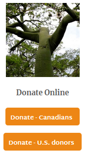 Options to donate on ICFC as a Canadian or a US donor