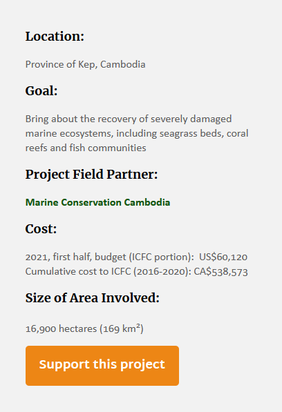 Click the "support this project" button on the ICFC web page