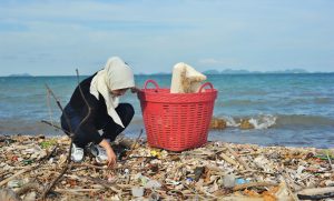 Marine Conservation Cambodia's projects, Ocean Plastics