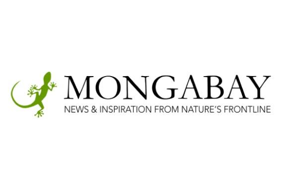 Link to MCC's appearance on Mongabay