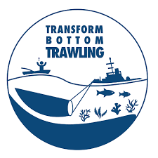 Transform Bottom Trawling