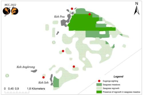 Dugong Sightings Map